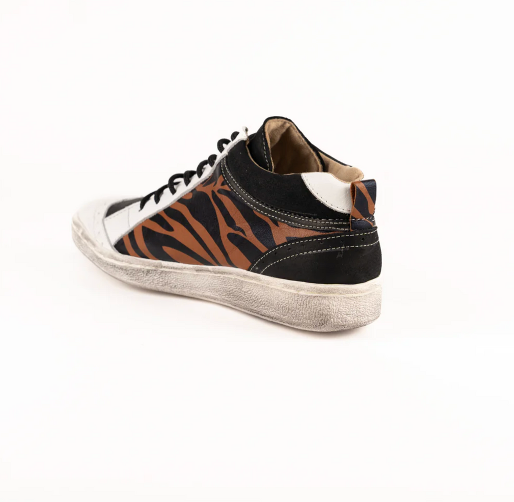 ZAPA ROCKSTAR  COMBI