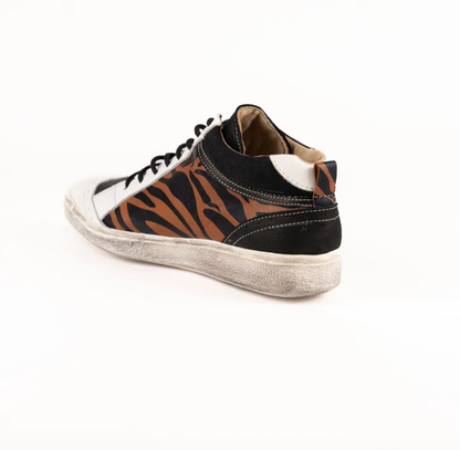 ZAPA ROCKSTAR  COMBI